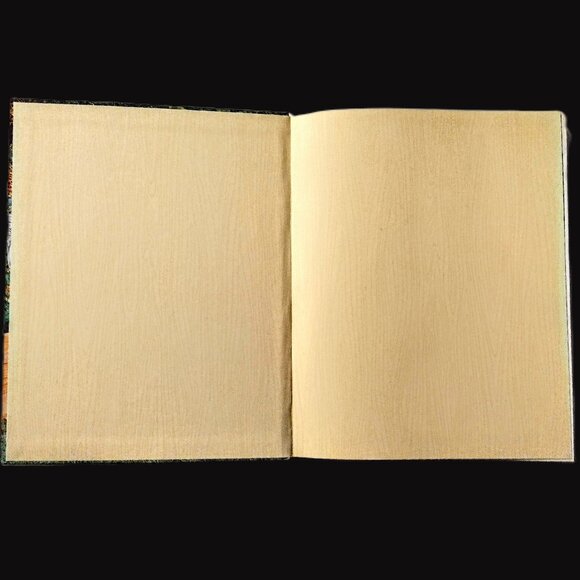 RAISED BED REVOLUTION Build It, Fill It, Plant It ~ Tara Nolan ~ Very Good Cond. - Picture 3 of 9